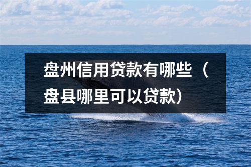 盘州信用贷款有哪些（盘县哪里可以贷款）