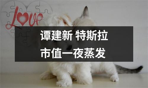 谭建新 特斯拉市值一夜蒸发