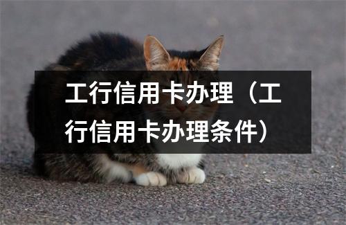 工行信用卡办理（工行信用卡办理条件）