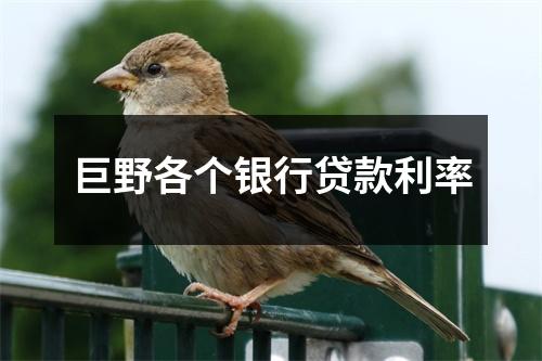 巨野各个银行贷款利率