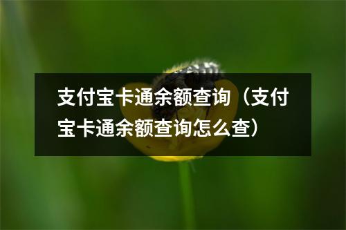支付宝卡通余额查询（支付宝卡通余额查询怎么查）