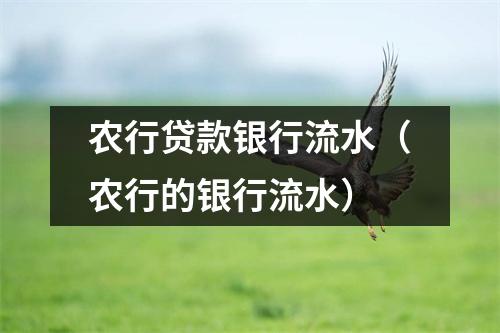 农行贷款银行流水（农行的银行流水）