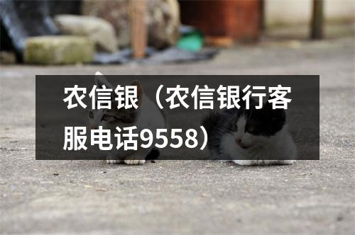 农信银（农信银行客服电话9558）