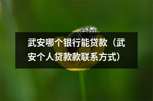 武安哪个银行能贷款（武安个人贷款款联系方式）