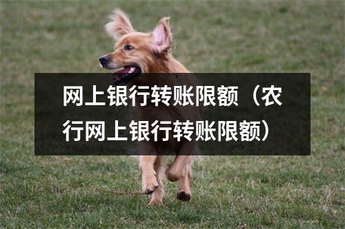 网上银行转账限额（农行网上银行转账限额）