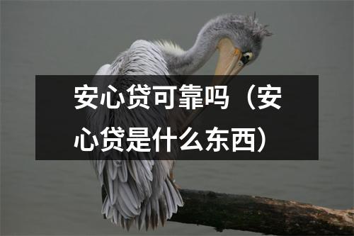 安心贷可靠吗（安心贷是什么东西）