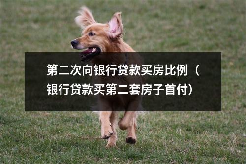 第二次向银行贷款买房比例（银行贷款买第二套房子首付）