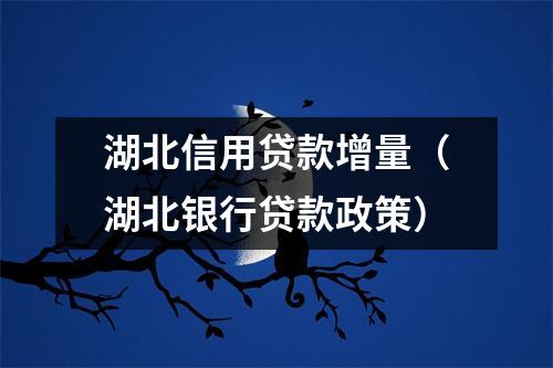 湖北信用贷款增量（湖北银行贷款政策）