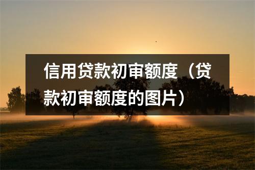 信用贷款初审额度（贷款初审额度的图片）