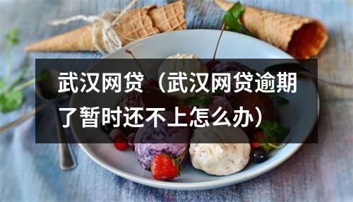 武汉网贷（武汉网贷逾期了暂时还不上怎么办）