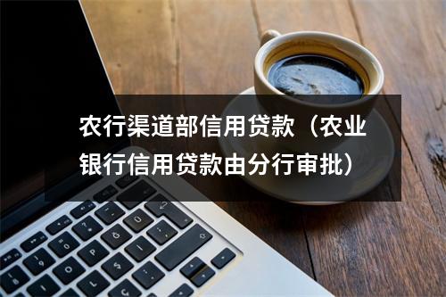 农行渠道部信用贷款（农业银行信用贷款由分行审批）