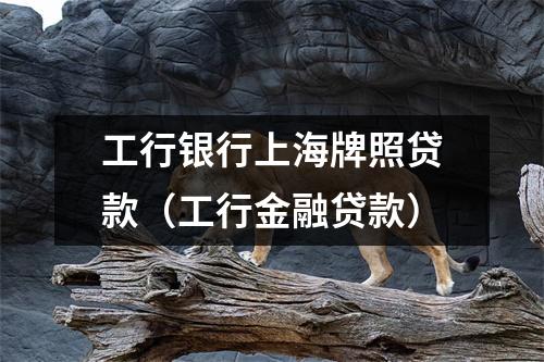 工行银行上海牌照贷款(工行金融贷款)