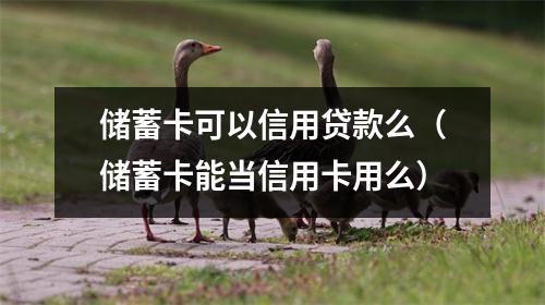 储蓄卡可以信用贷款么（储蓄卡能当信用卡用么）