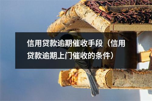 信用贷款逾期催收手段(信用贷款逾期上门催收的条件)
