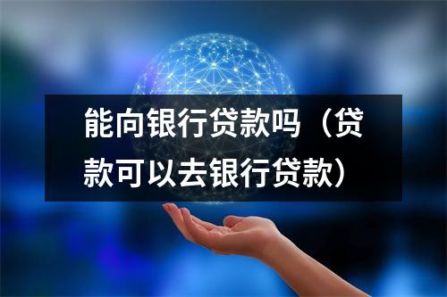 能向银行贷款吗（贷款可以去银行贷款）