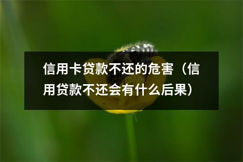 信用卡贷款不还的危害（信用贷款不还会有什么后果）