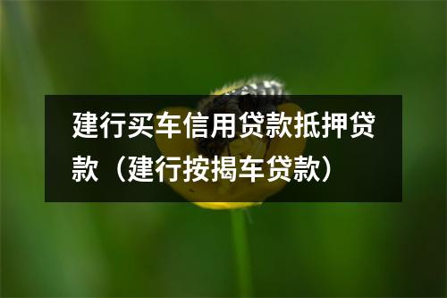 建行买车信用贷款抵押贷款（建行按揭车贷款）