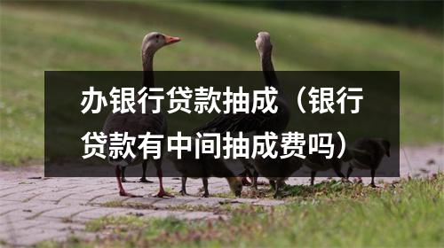 办银行贷款抽成（银行贷款有中间抽成费吗）