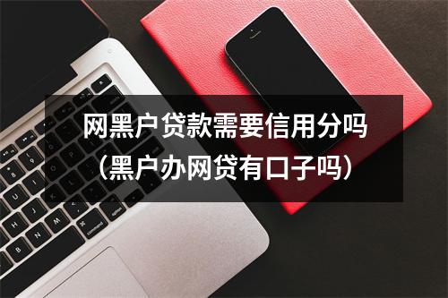 网黑户贷款需要信用分吗（黑户办网贷有口子吗）