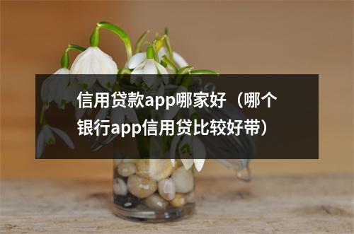 信用贷款app哪家好（哪个银行app信用贷比较好带）