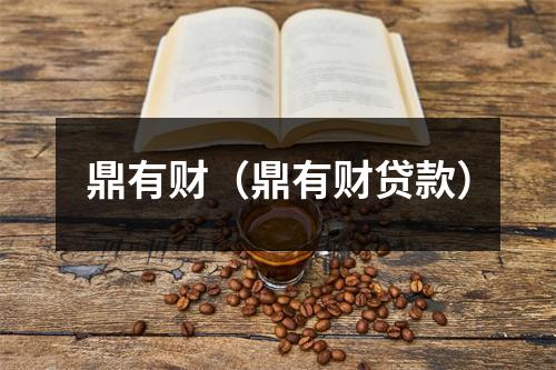 鼎有财（鼎有财贷款）