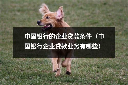 中国银行的企业贷款条件（中国银行企业贷款业务有哪些）