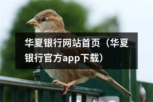华夏银行网站首页（华夏银行官方app下载）