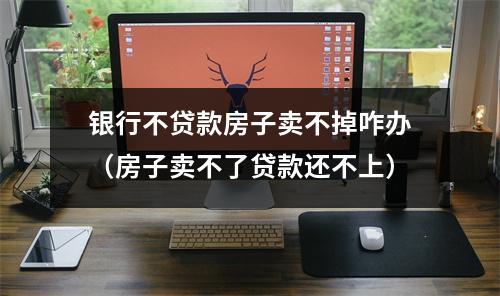 银行不贷款房子卖不掉咋办（房子卖不了贷款还不上）