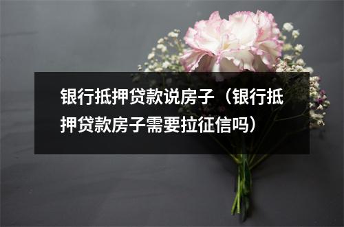 银行抵押贷款说房子（银行抵押贷款房子需要拉征信吗）