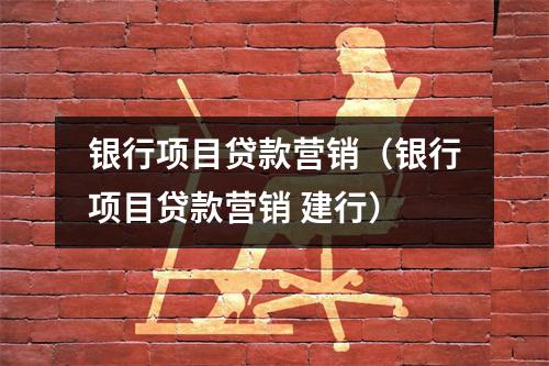 银行项目贷款营销（银行项目贷款营销 建行）