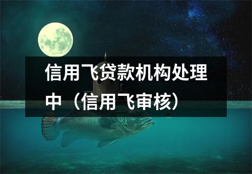 信用飞贷款机构处理中（信用飞审核）