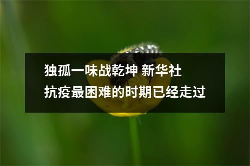 独孤一味战乾坤 新华社 抗疫最困难的时期已经走过