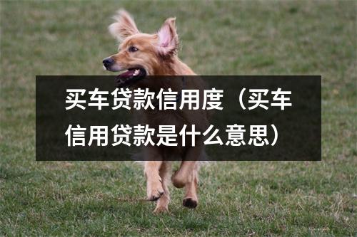 买车贷款信用度（买车信用贷款是什么意思）