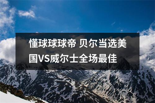 懂球球球帝 贝尔当选美国VS威尔士全场最佳