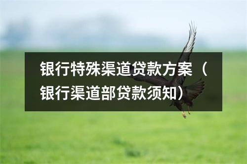 银行特殊渠道贷款方案（银行渠道部贷款须知）