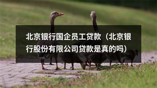 北京银行国企员工贷款（北京银行股份有限公司贷款是真的吗）