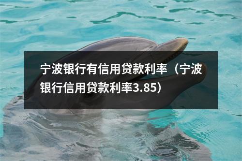 宁波银行有信用贷款利率（宁波银行信用贷款利率3.85）