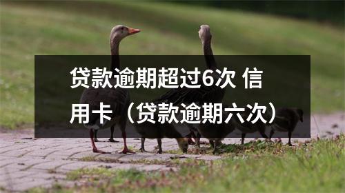 贷款逾期超过6次 信用卡（贷款逾期六次）