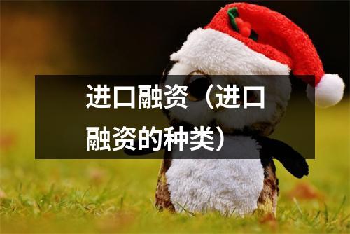 进口融资（进口融资的种类）