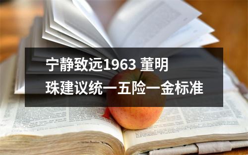 宁静致远1963 董明珠建议统一五险一金标准
