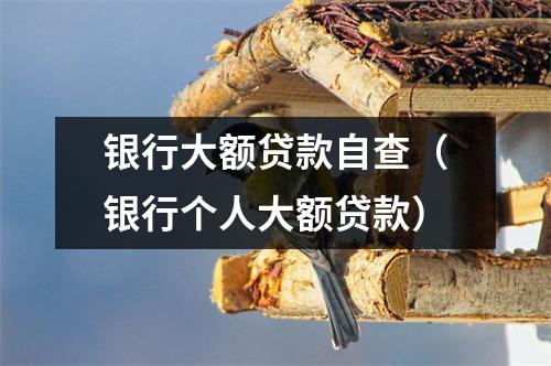 银行大额贷款自查（银行个人大额贷款）