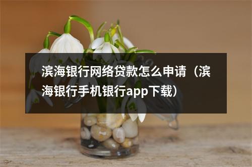 滨海银行网络贷款怎么申请（滨海银行手机银行app下载）
