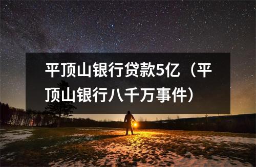 平顶山银行贷款5亿（平顶山银行八千万事件）