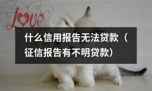 什么信用报告无法贷款（征信报告有不明贷款）