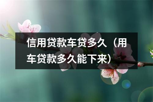 信用贷款车贷多久（用车贷款多久能下来）
