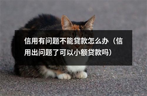 信用有问题不能贷款怎么办（信用出问题了可以小额贷款吗）