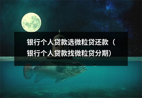 银行个人贷款选微粒贷还款（银行个人贷款找微粒贷分期）