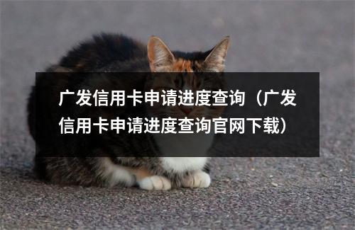 广发信用卡申请进度查询（广发信用卡申请进度查询官网下载）