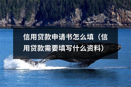 信用贷款申请书怎么填（信用贷款需要填写什么资料）