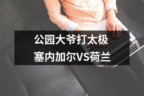 公园大爷打太极 塞内加尔VS荷兰